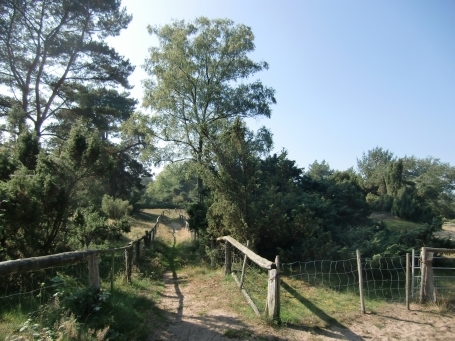 Schermbeck : Impressionen aus dem Naturschutzgebiet Loosenberge